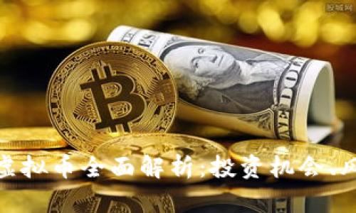 zhiwei阿斯塔虚拟币全面解析：投资机会、风险与市场前景