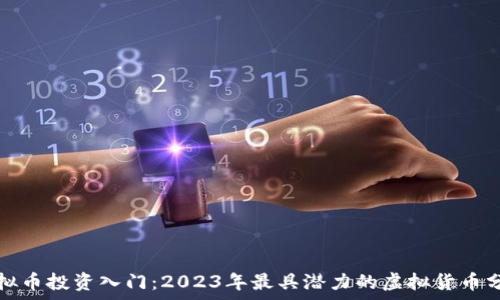   
虚拟币投资入门：2023年最具潜力的虚拟货币分析