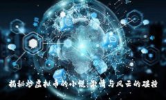 揭秘炒虚拟币的小说：激情与风云的碰撞
