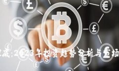 虚拟币探底：2023年投资趋势分析与市场前景展望