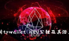 深入解析tpwallet HUU公链及其潜力与应用