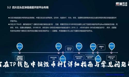 如何在TP钱包中销毁币种？详细指南与常见问题解答