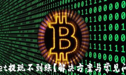 
TPWallet提现不到账？解决方案与常见问题详解