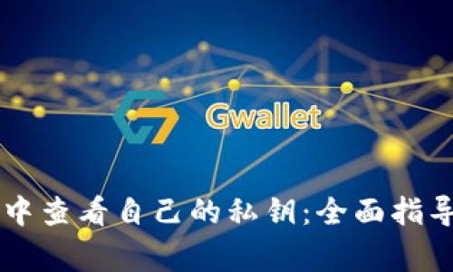 如何在TPWallet中查看自己的私钥：全面指导与安全注意事项