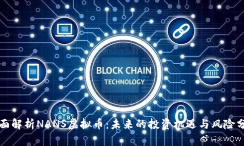 全面解析NANS虚拟币：未来的投资机遇与风险分析