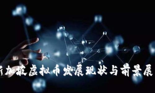 新加坡虚拟币发展现状与前景展望