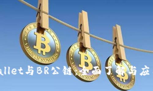  TPWallet与BR公链：全面了解与应用探讨
