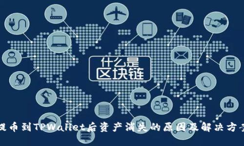 提币到TPWallet后资产消失的原因及解决方案