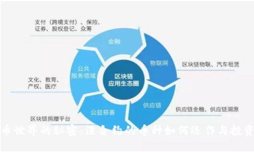 虚拟币世界的秘密：没合约的币种如何运作与投资风险